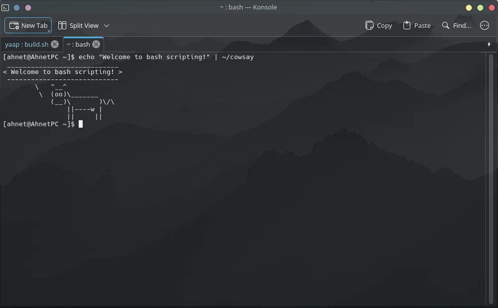 Shell Screenshot