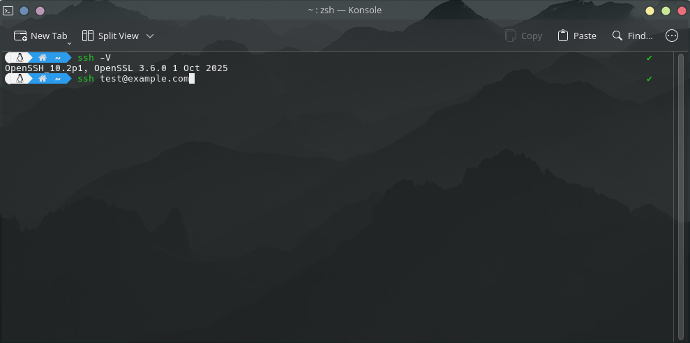 SSH Screenshot