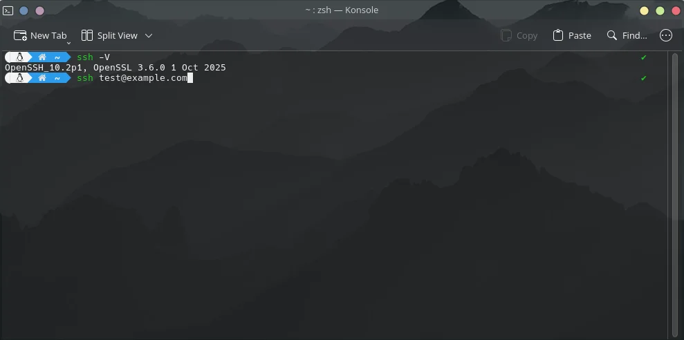 SSH Screenshot